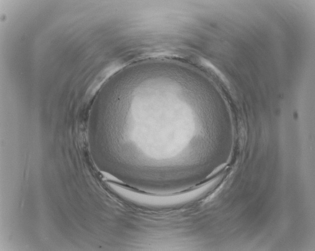 X0000070411361200606302026