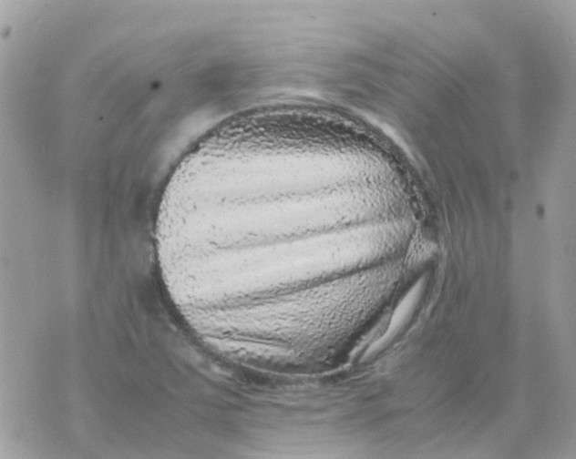 X0000070411363200606302026