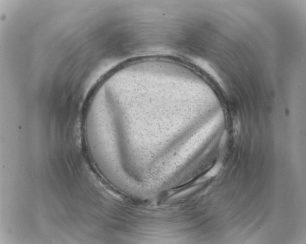 X0000070411364200606302026