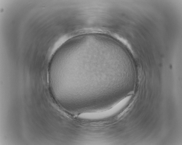 X0000070411365200606302026