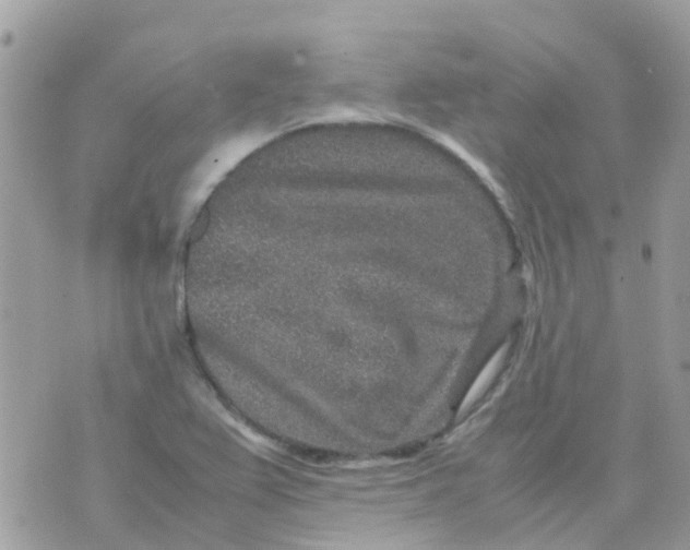 X0000070411367200606302026