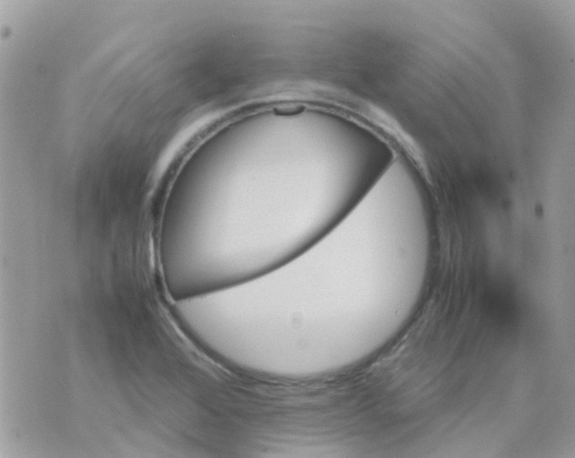 X0000070411368200606302026