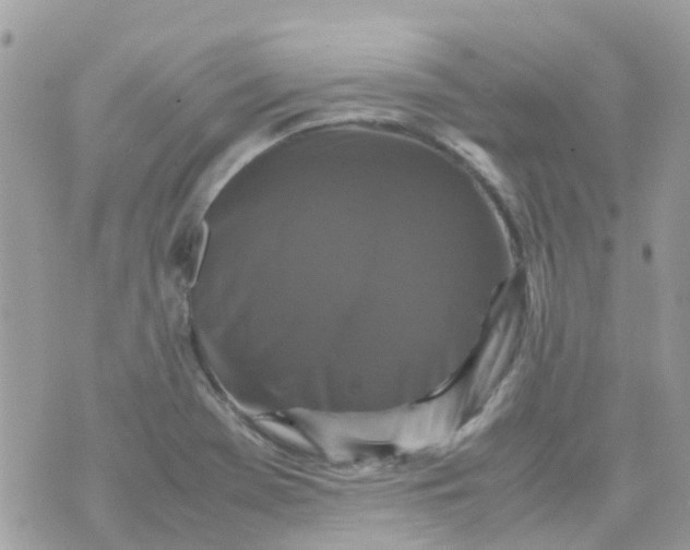 X0000070411369200606302026