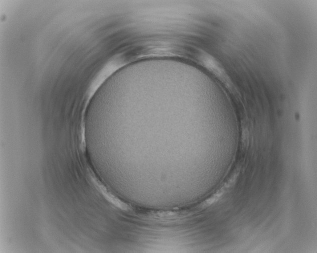 X0000070411370200606302026