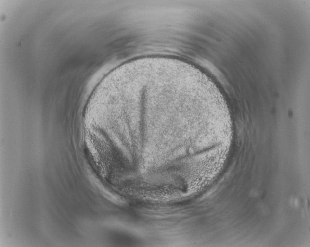 X0000070411371200606302025