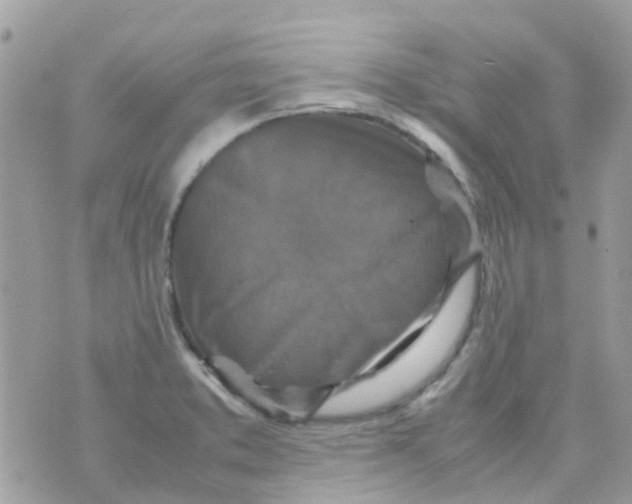 X0000070411373200606302025