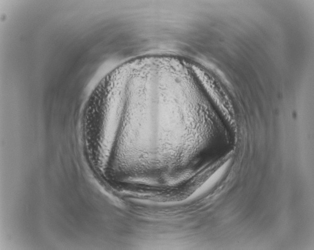 X0000070411375200606302025