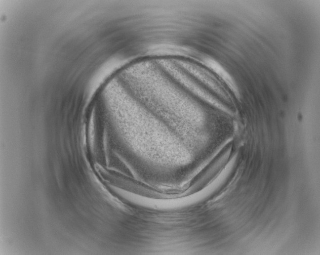 X0000070411376200606302025