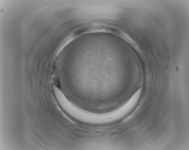 X0000070411377200606302025