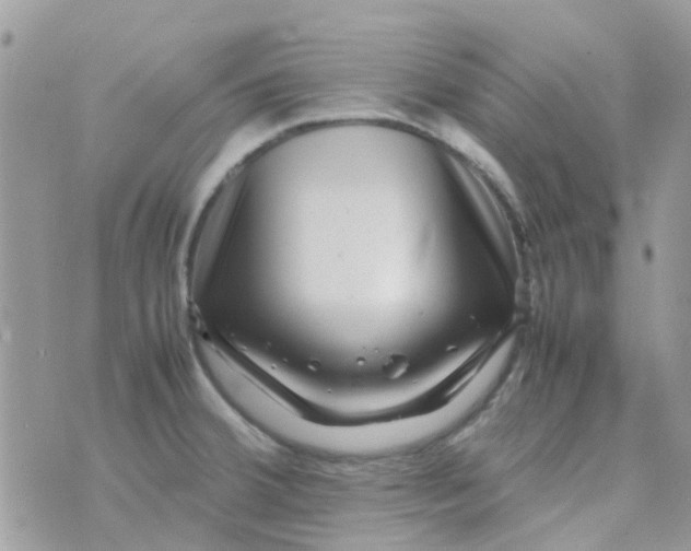 X0000070411380200606302025