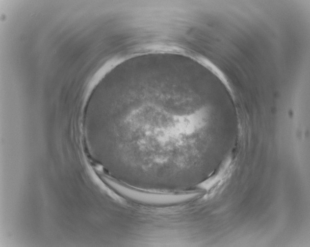 X0000070411381200606302025