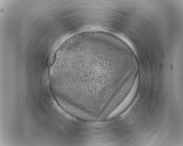 X0000070411382200606302025