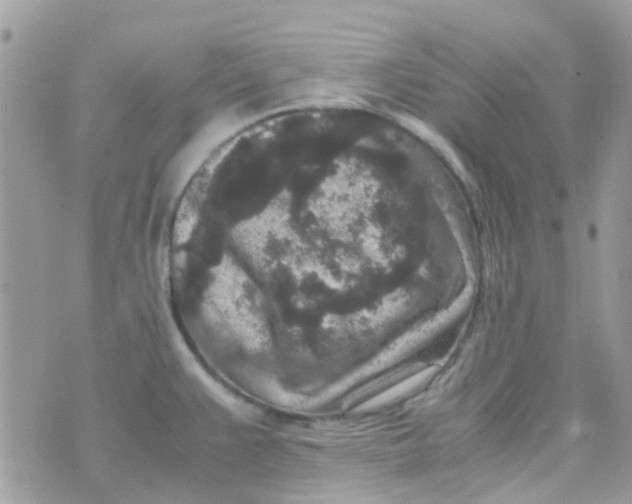 X0000070411383200606302025