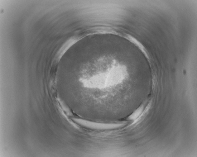 X0000070411385200606302025