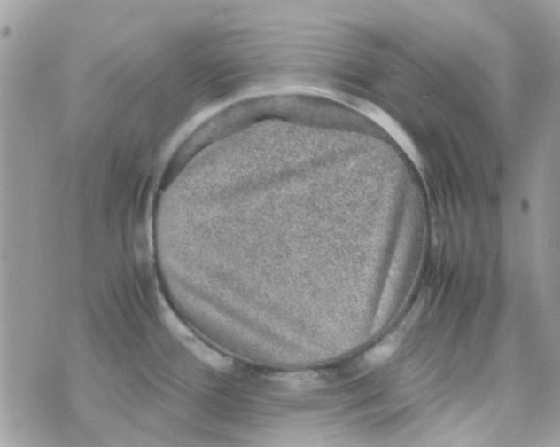 X0000070411388200606302025