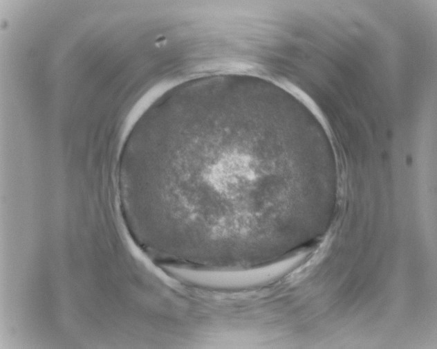 X0000070411389200606302025