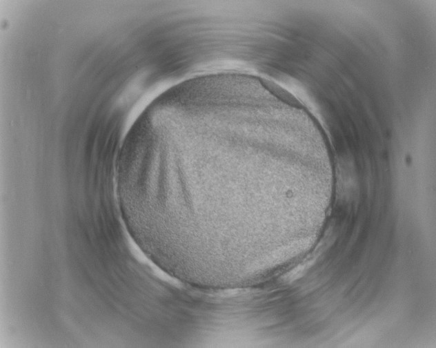 X0000070411390200606302025