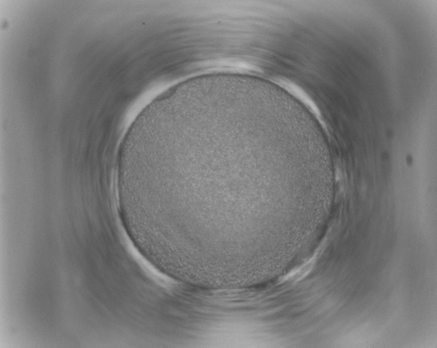 X0000070411391200606302025