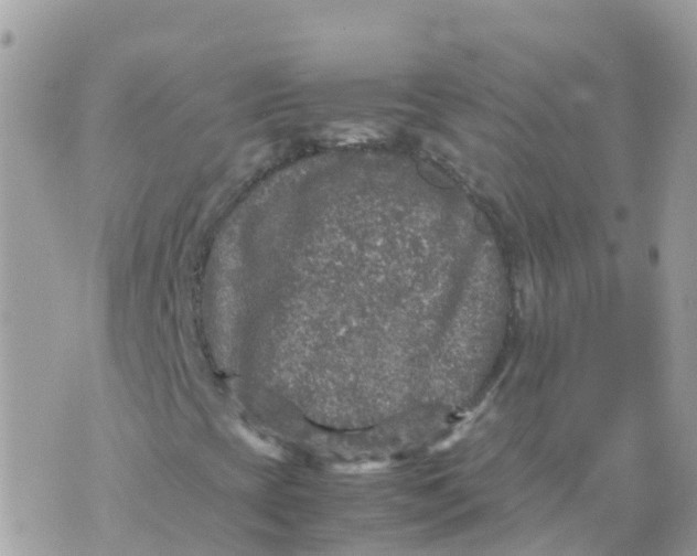 X0000070411393200606302024