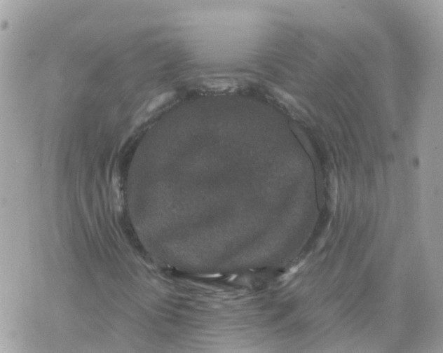 X0000070411394200606302024