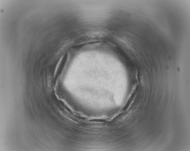 X0000070411396200606302024