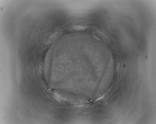 X0000070411397200606302024