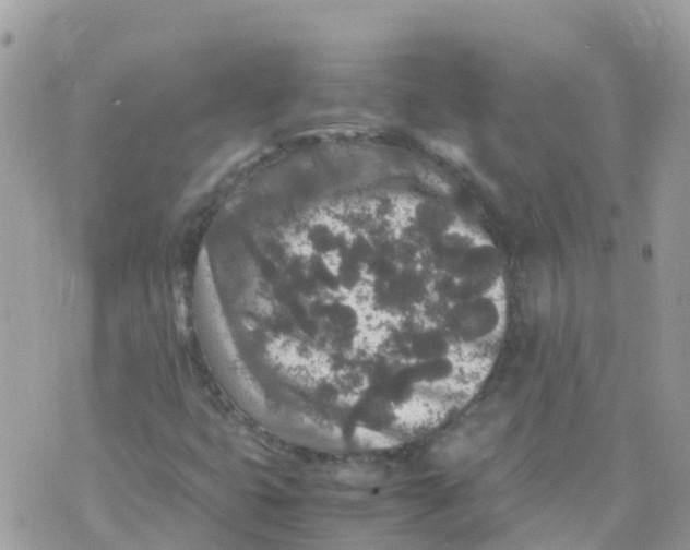 X0000070411399200606302024