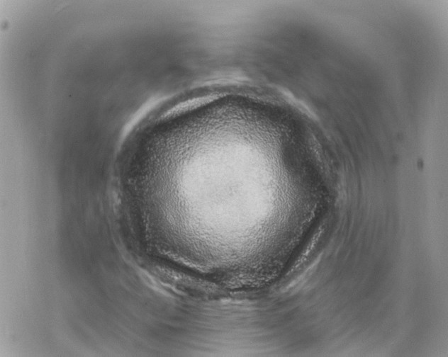 X0000070411400200606302024