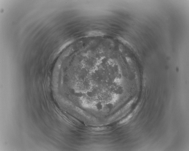 X0000070411401200606302025