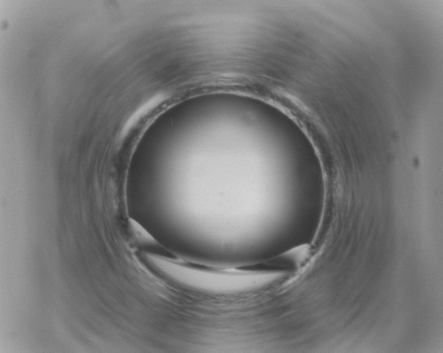 X0000070411402200606302025