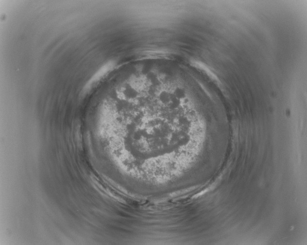 X0000070411403200606302025