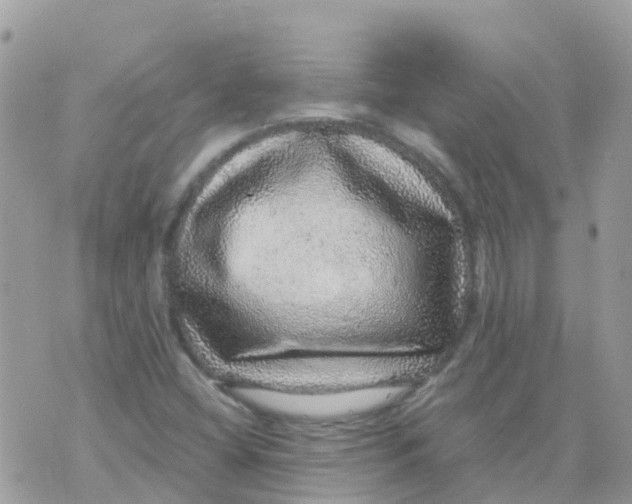 X0000070411404200606302025