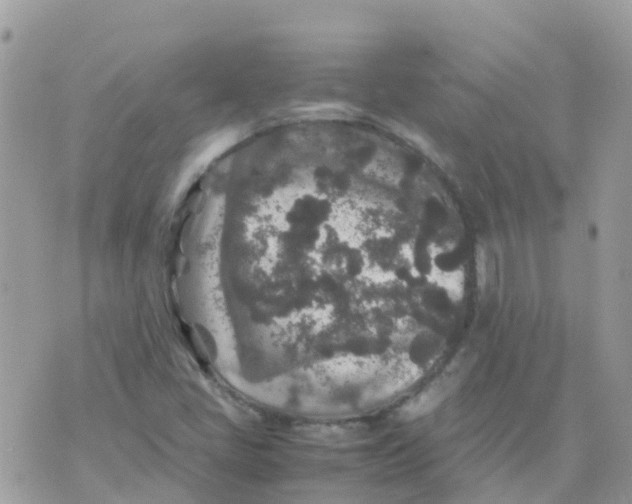 X0000070411405200606302025