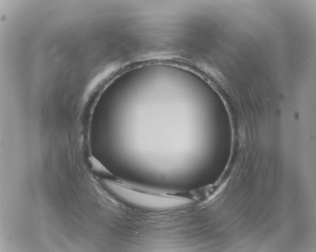 X0000070411406200606302025