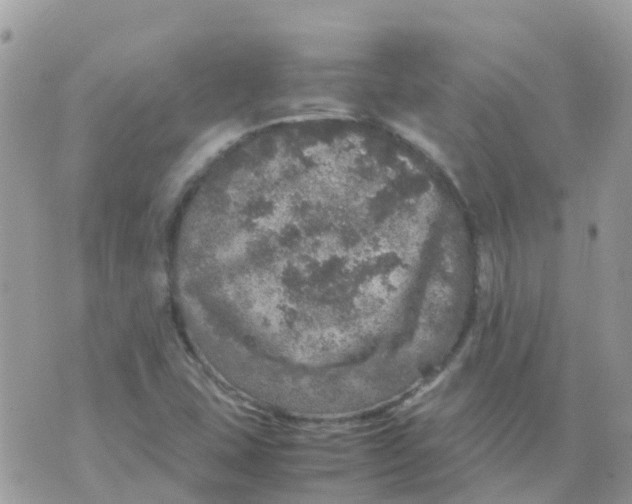 X0000070411407200606302025