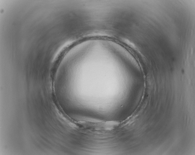 X0000070411408200606302025