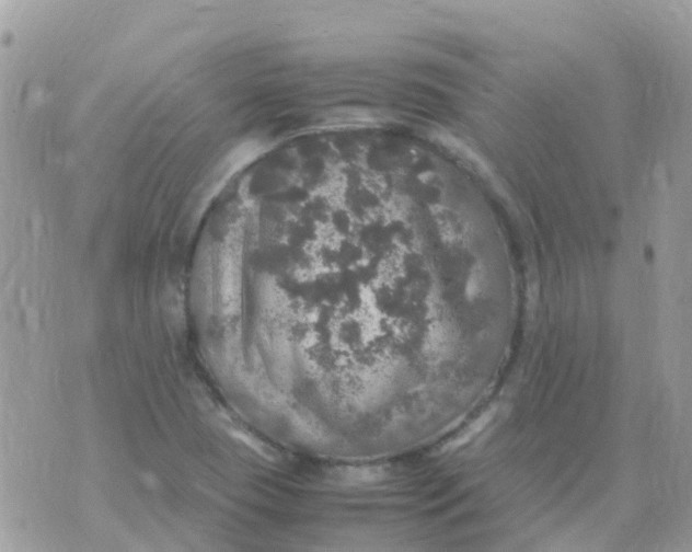 X0000070411409200606302025