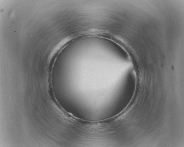 X0000070411410200606302025