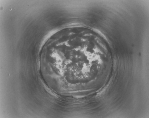 X0000070411413200606302025