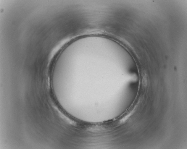 X0000070411414200606302025