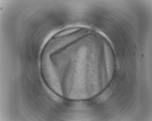 X0000070411416200606302025