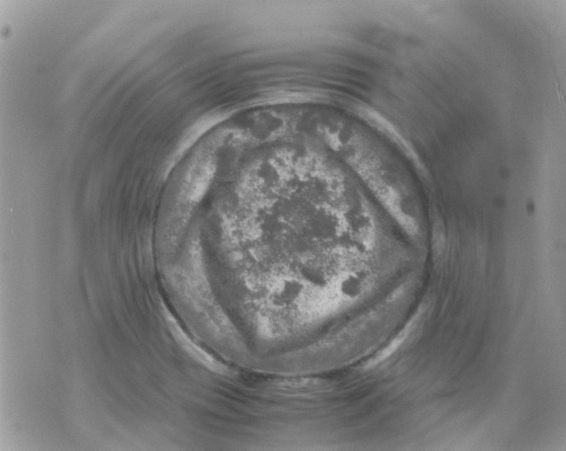 X0000070411417200606302025