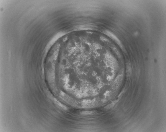 X0000070411419200606302025