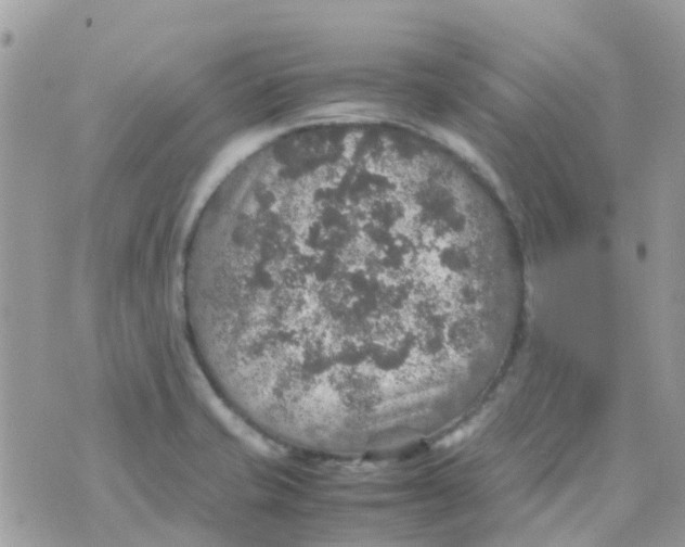 X0000070411421200606302025