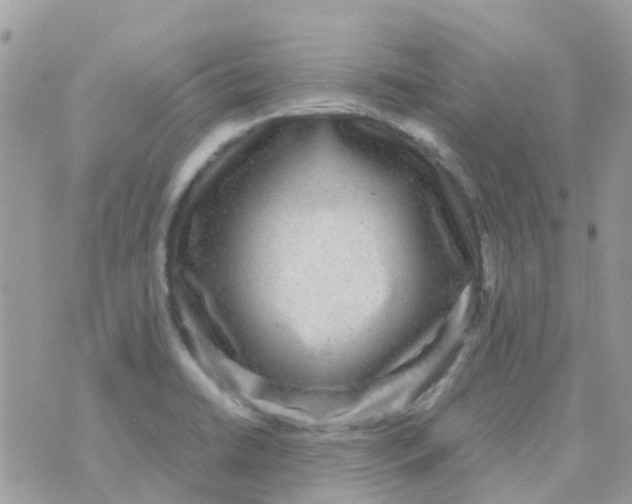 X0000070411422200606302025