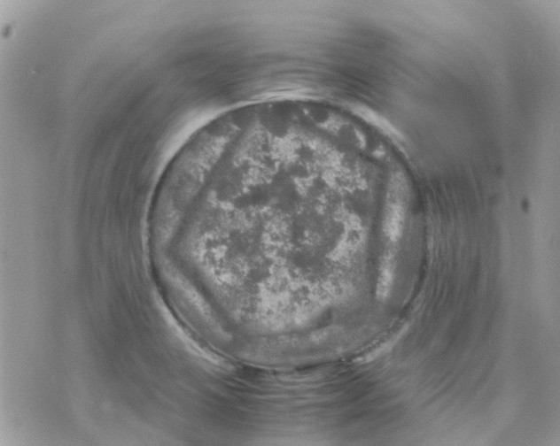 X0000070411423200606302025