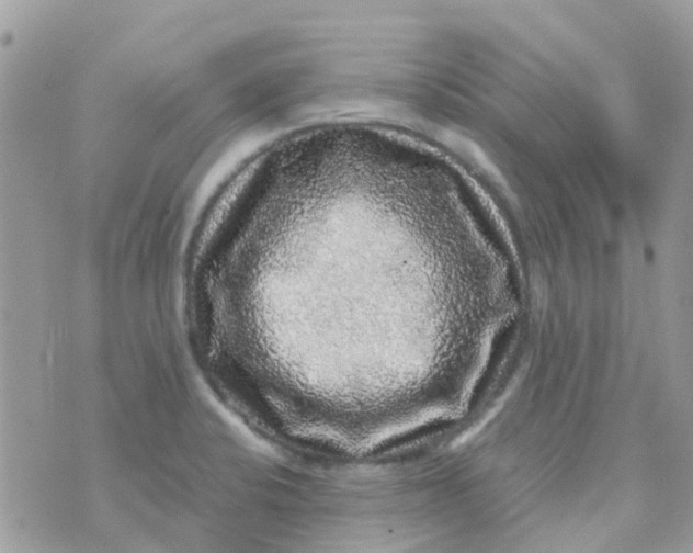 X0000070411424200606302025