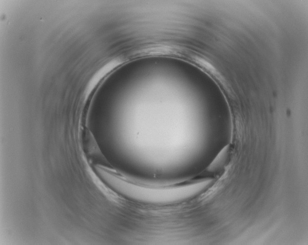 X0000070411426200606302025