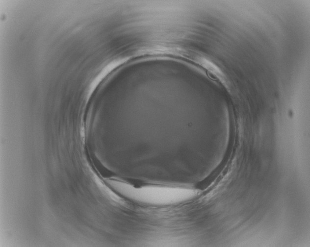 X0000070411428200606302025