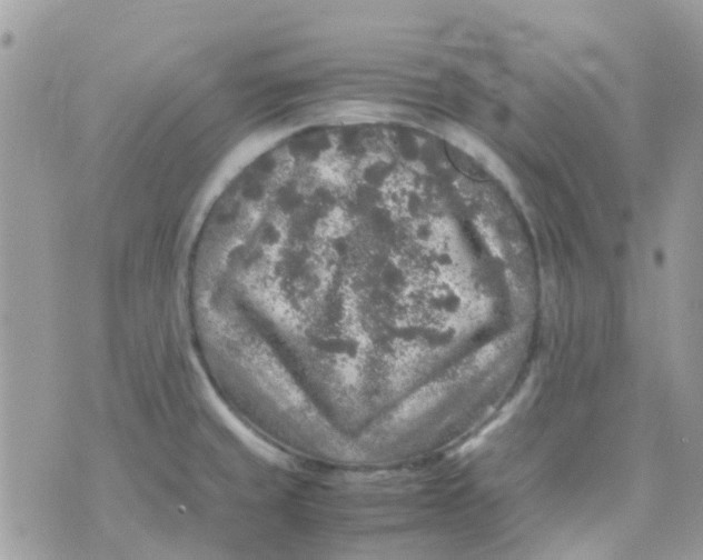 X0000070411429200606302025